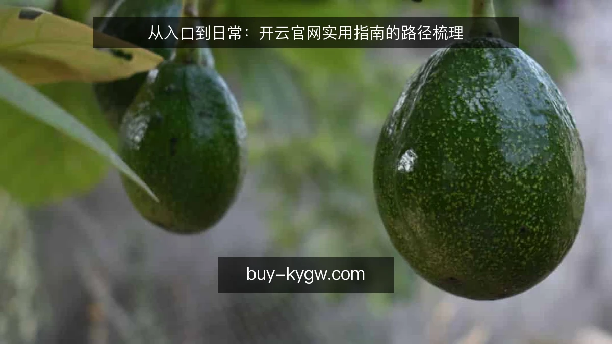 从入口到日常：开云官网实用指南的路径梳理