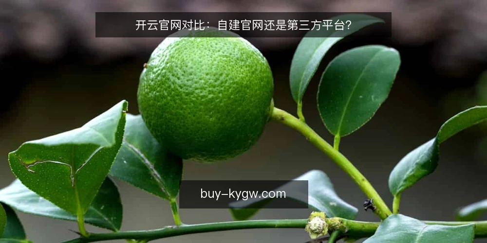 开云官网对比：自建官网还是第三方平台？ — 明确需求：先定义你的核心目标 配图